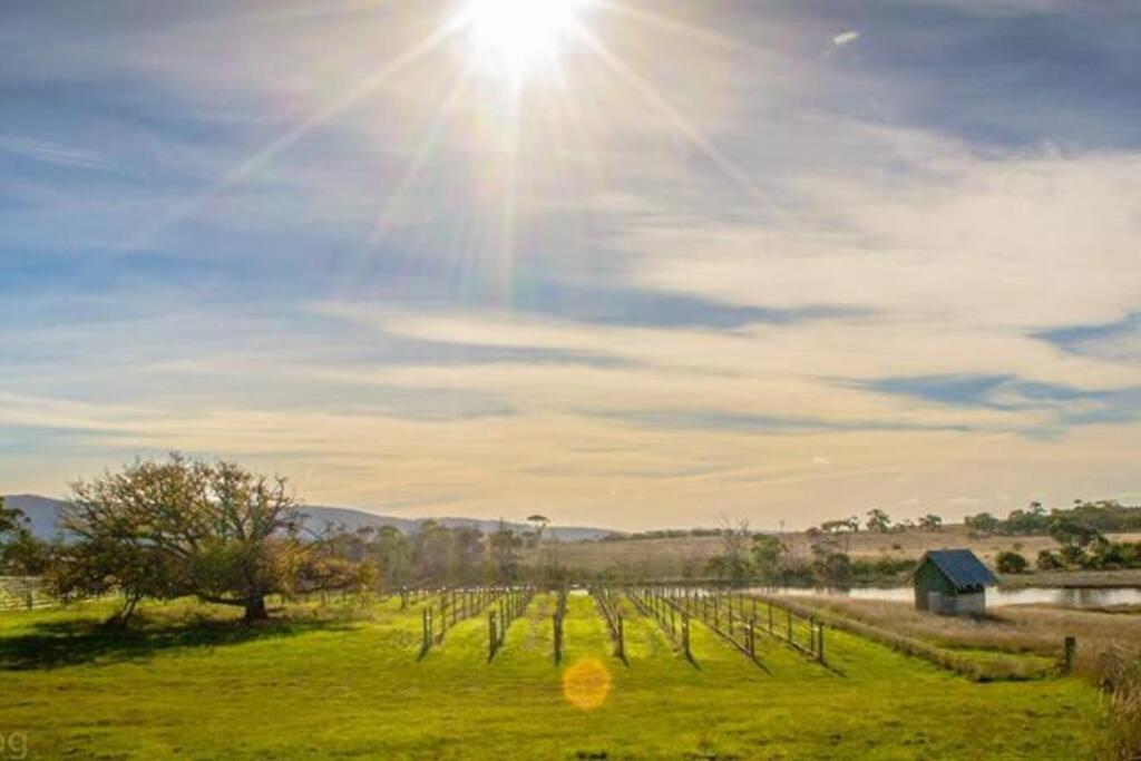 Willa *Newly Relisted* Coach House At Lisdillon Vineyard Little Swanport Zewnętrze zdjęcie
