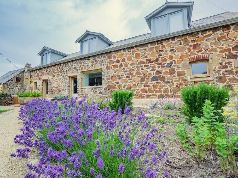 Willa *Newly Relisted* Coach House At Lisdillon Vineyard Little Swanport Zewnętrze zdjęcie